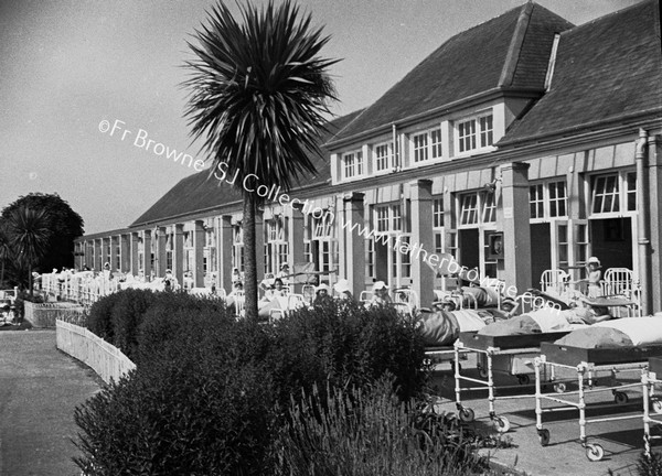 BEDS ON PATIO  CAPPAGH HOSPITAL